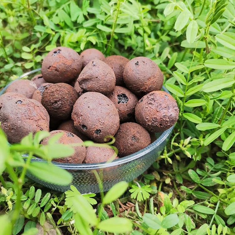 襄陽建筑回填陶粒生產(chǎn)廠家講解衛(wèi)生間用陶粒怎么使用的方法